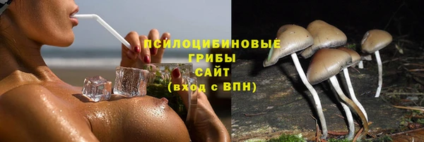 дмт Абаза