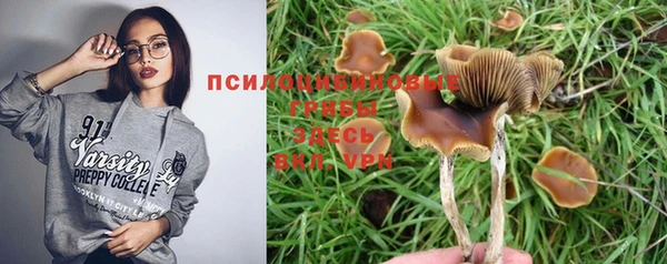 дмт Абаза